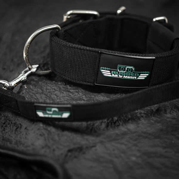 Rugged Collar & Leash Bundle