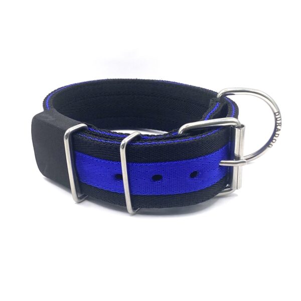 Yard Collar (Blue Strip)